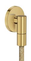 brushed gold-optic