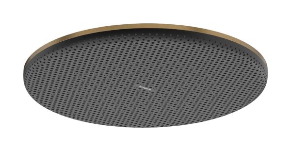 hansgrohe Raindance Alive S Duschkopf 300 brushed bronze 24520140