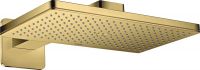 polished gold-optic