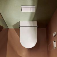 Vorschau: hansgrohe LavaPura Element S Dusch-WC Komplett, weiß