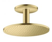 brushed brass