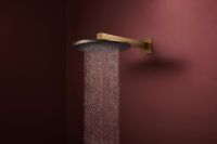 Vorschau: hansgrohe Raindance Alive S Duschkopf 300 2 Strahlarten mit Brausearm, brushed bronze