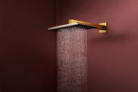 Vorschau: hansgrohe Raindance Alive Q Duschkopf 210/340 2 Strahlarten mit Brausearm, polished gold optic