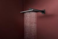 Vorschau: hansgrohe Raindance Alive Q Duschkopf 210/340 2 Strahlarten mit Brausearm, brushed black chrome