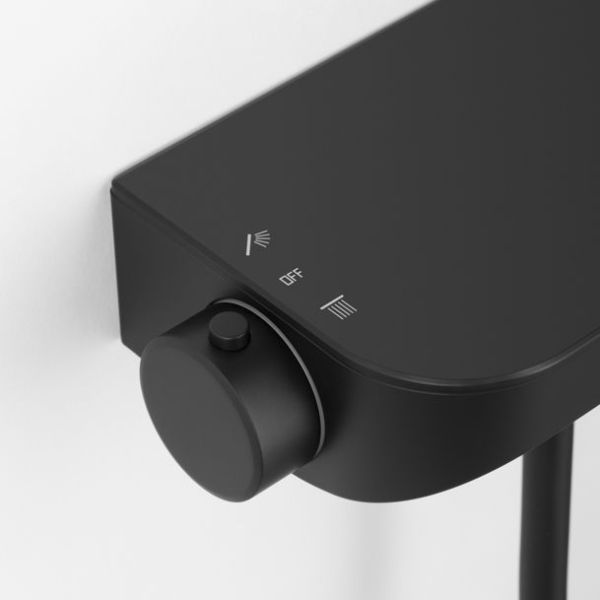 Avenarius Duschsystem mit Thermostat, höhenverstellbar, schwarz matt