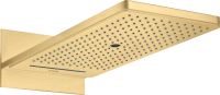brushed gold-optic