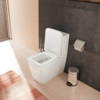 Vorschau: hansgrohe EluPura Q Stand-WC AquaFall Flush