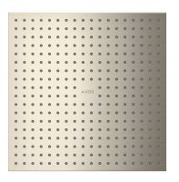 brushed nickel
