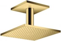 polished gold-optic
