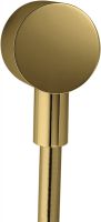 polished gold-optic