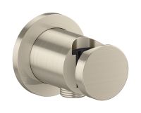 brushed nickel