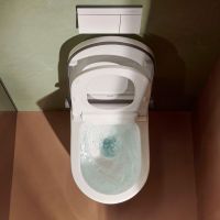 Vorschau: hansgrohe LavaPura Element S Dusch-WC Komplett, weiß