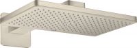 brushed nickel