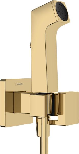 hansgrohe Bidetbrause E polished gold optic 29233990