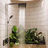 Vorschau: hansgrohe Raindance Alive Q Duschsystem chrom 24590000