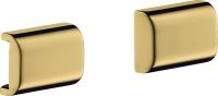 polished gold-optic