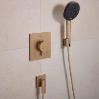 hansgrohe Raindance Alive Select S Duschkopf 125 3 Strahlarten brushed bronze 24500140 
