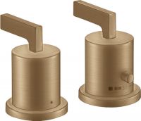 brushed bronze