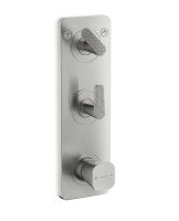 brushed nickel
