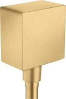 brushed gold-optic
