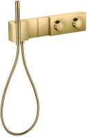 polished gold-optic