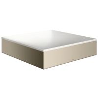 polished nickel
