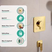 Vorschau: hansgrohe Ecostat Comfort Q Thermostat 2 Funktionen mit Sicherungskombination, polished gold optic