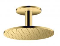 polished gold-optic