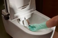 Vorschau: hansgrohe LavaPura Element S Dusch-WC Komplett, weiß